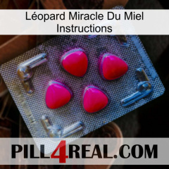 Léopard Miracle Du Miel Instructions 13